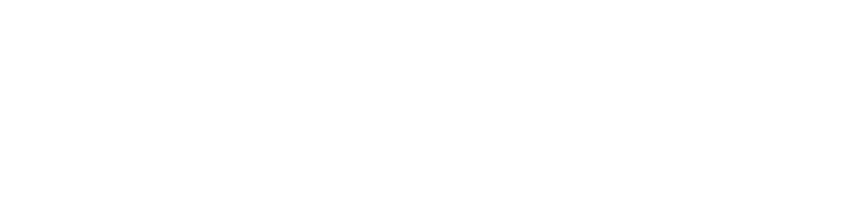 Leia Inc.